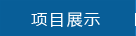 項目展示